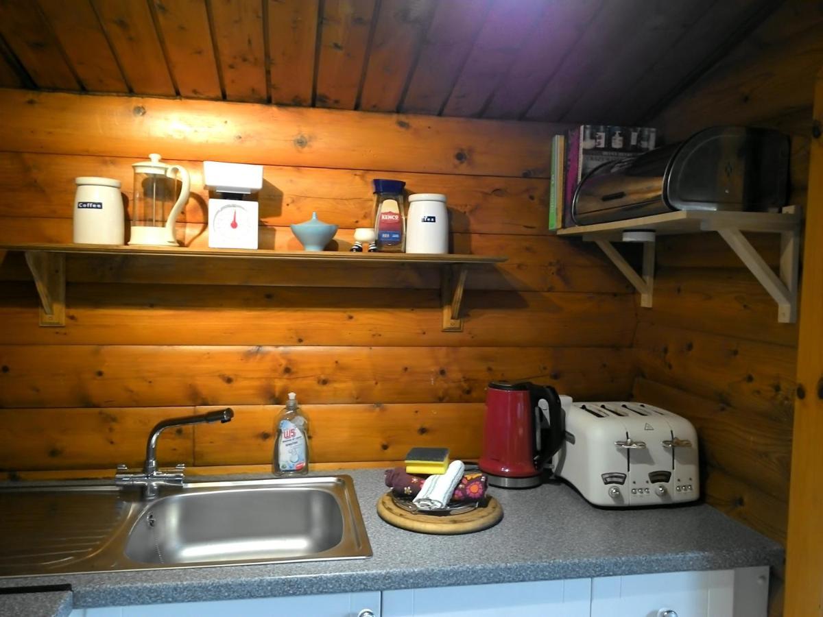 Villa Shifty Chicken Shack Trawsfynydd Exterior foto
