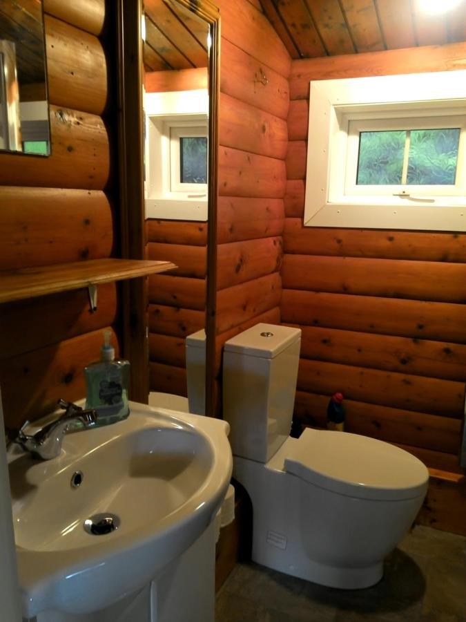 Villa Shifty Chicken Shack Trawsfynydd Exterior foto